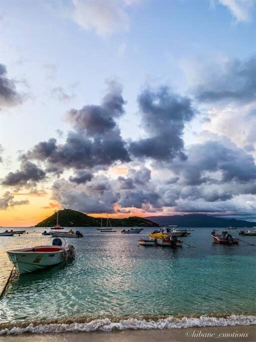 Villa Ker Iguane Terre De Haut Les Saintes Bagian luar foto